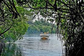 River Safari Madu River