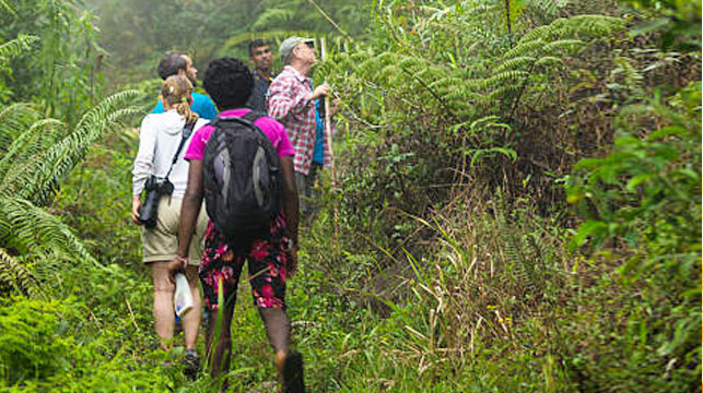 Hiking places in Sri Lanka